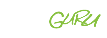 iHelp.guru LLC